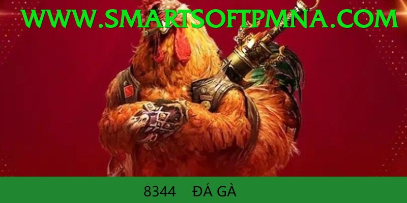 Đá Gà Trực Tiếp - Trải nghiệm tuyệt vời