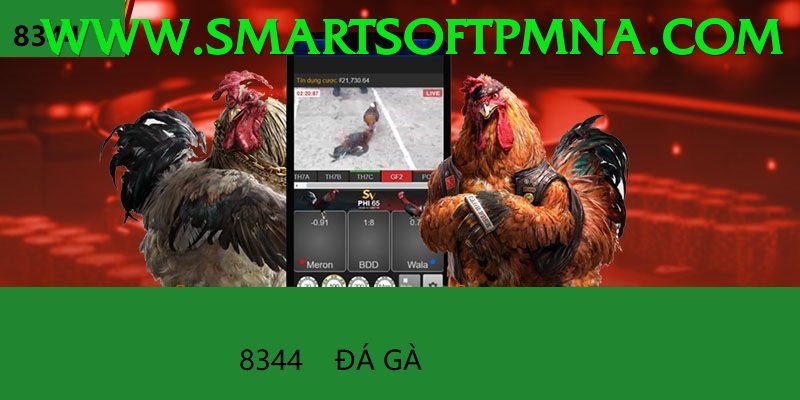 Đá Gà Trực Tiếp - Ưu đãi đặc biệt